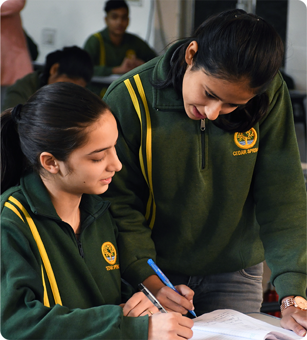 Cedar Spring High School