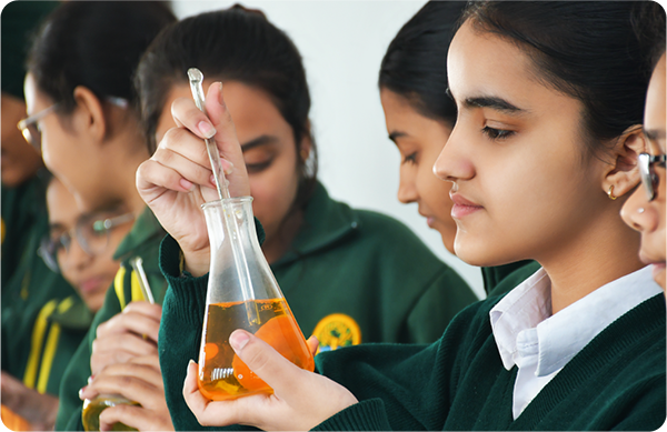 Cedar Spring High School